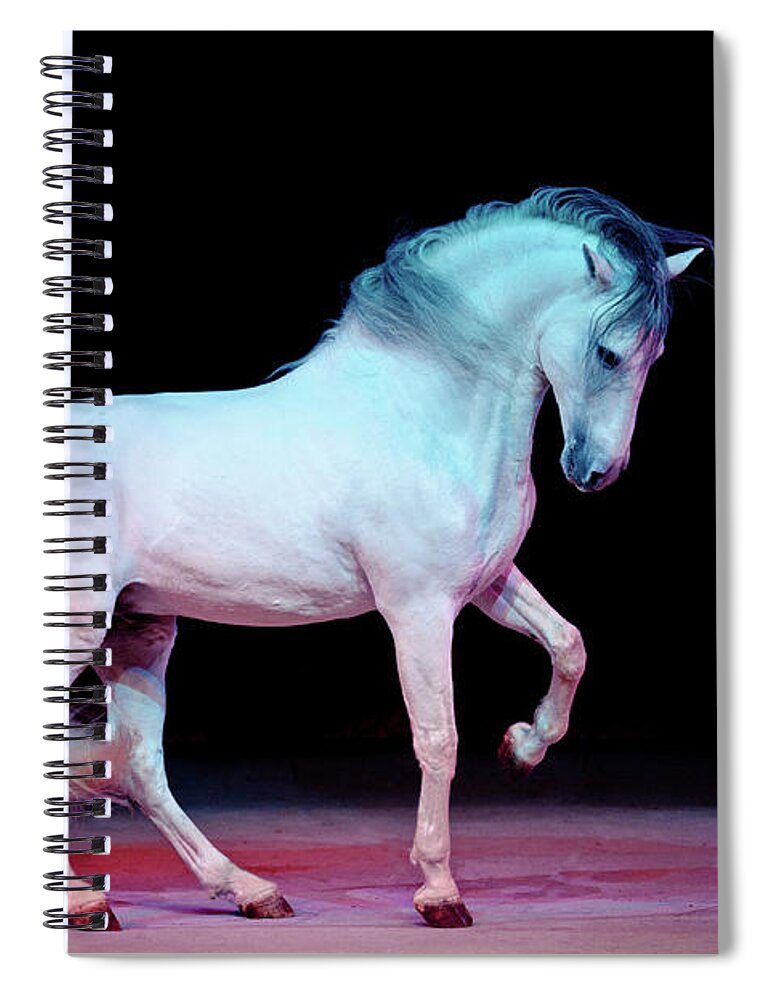 Russian Artists New Wave Spiral Notebook featuring the photograph White Dancer by Ekaterina Druz