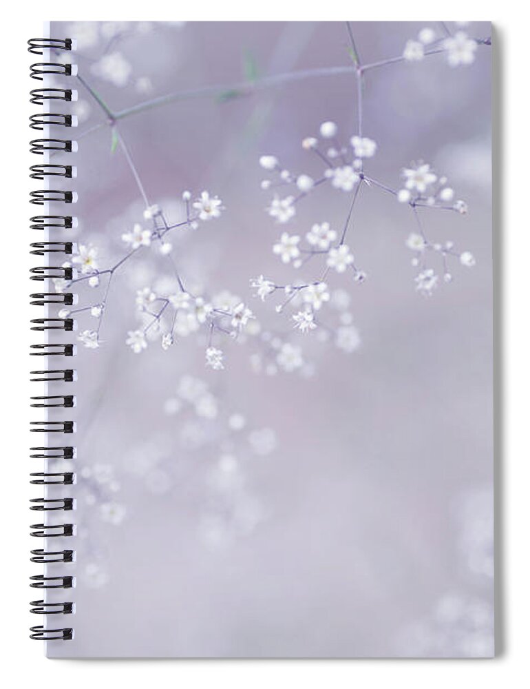 Jenny Rainbow Fine Art Photography Spiral Notebook featuring the photograph White Dreams. Innocence by Jenny Rainbow