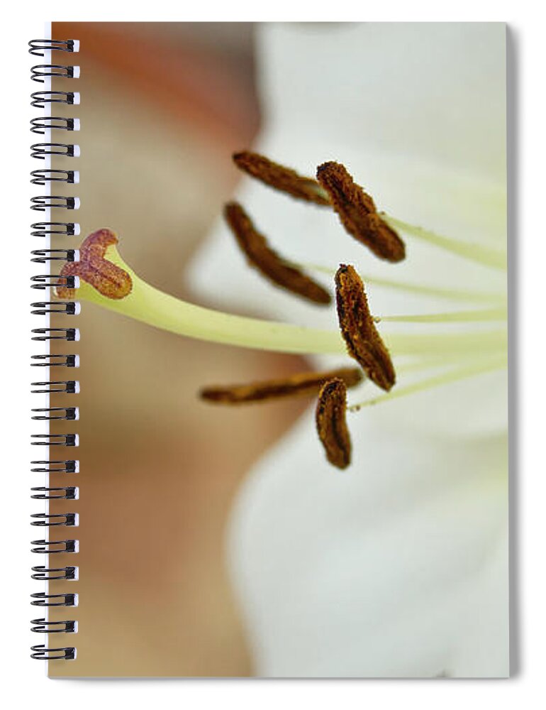 Flower Spiral Notebook featuring the photograph White Lily 2 by Elena Perelman