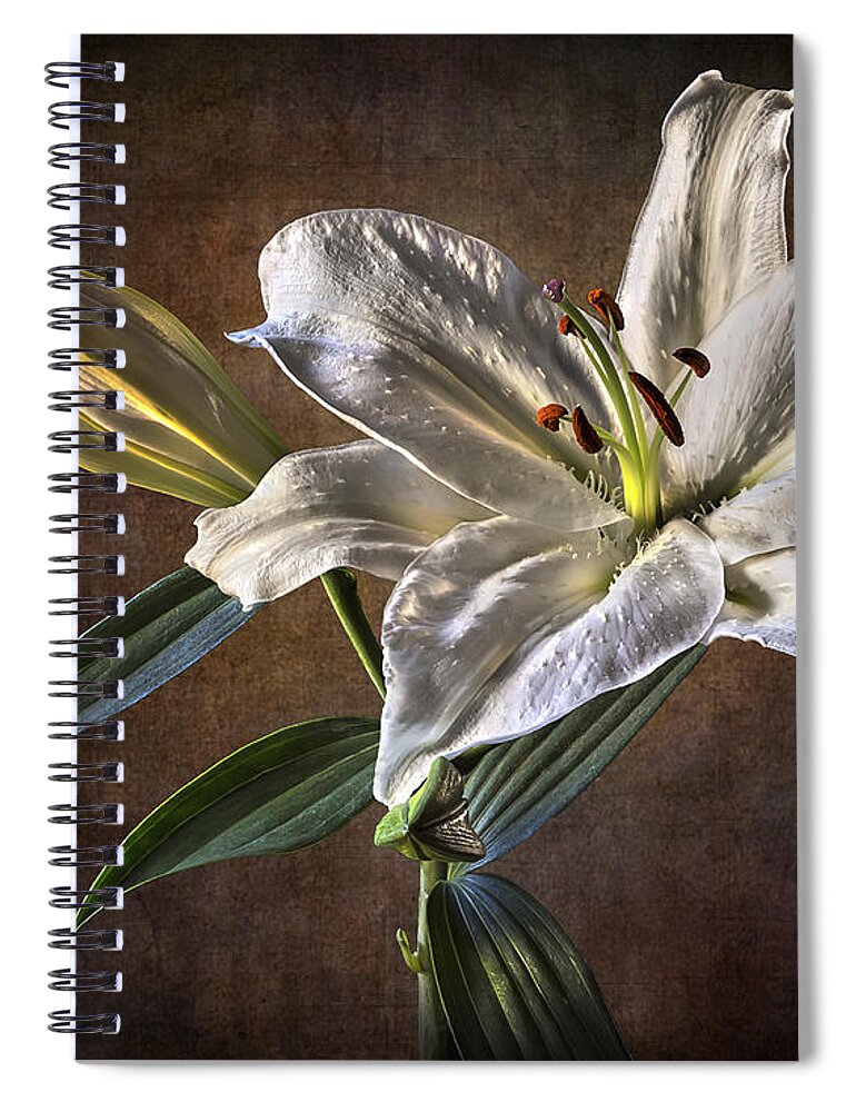 Lily Spiral Notebook featuring the photograph White Lily by Endre Balogh