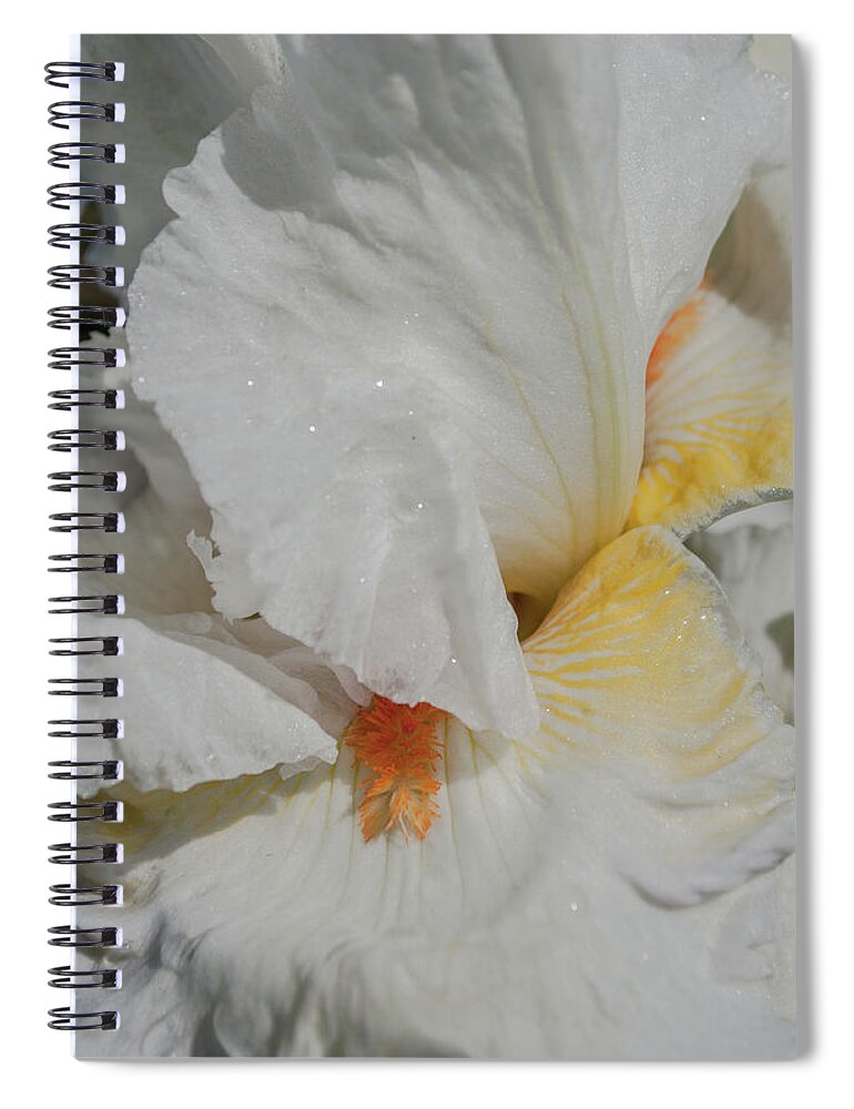 Cleveland Spiral Notebook featuring the photograph White Lines by Stewart Helberg