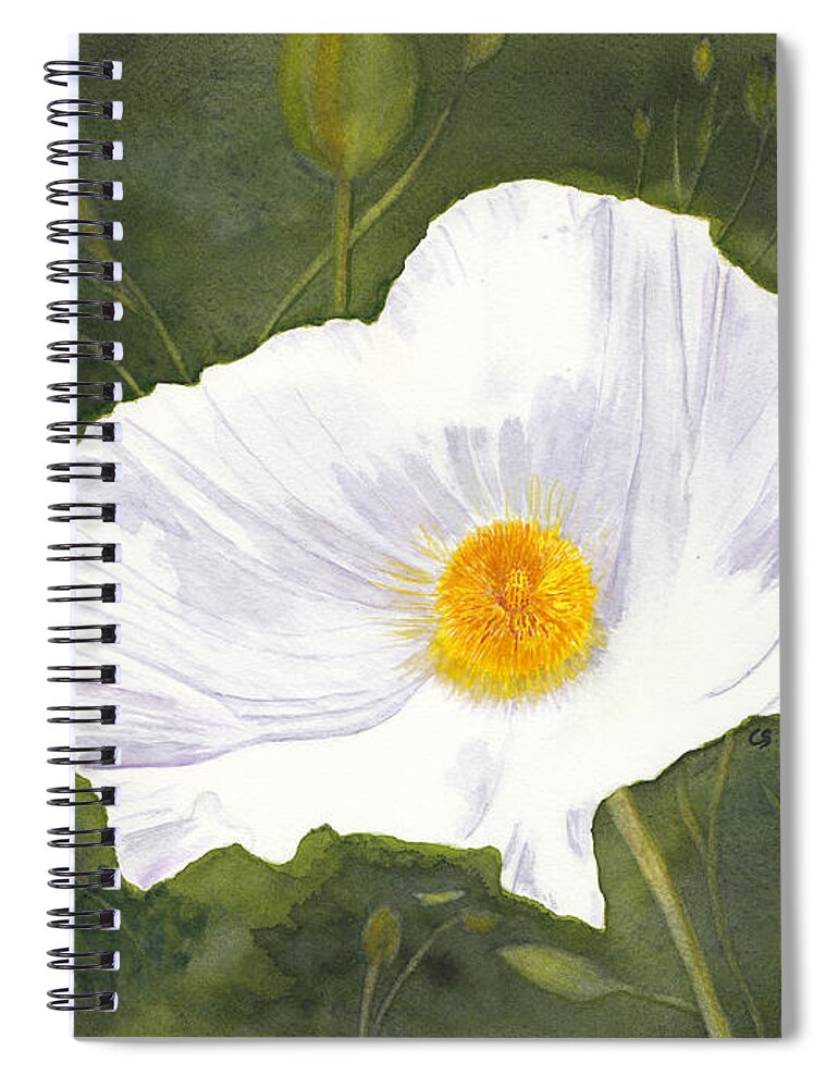 Poppy Spiral Notebook featuring the painting White Matilija Poppy by Conni Schaftenaar
