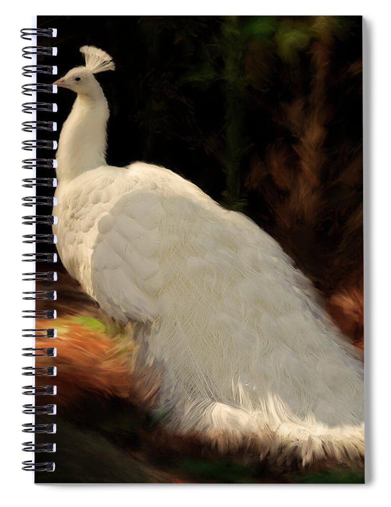Peacock Spiral Notebook featuring the painting White Peacock in Golden Hour by Constance Woods