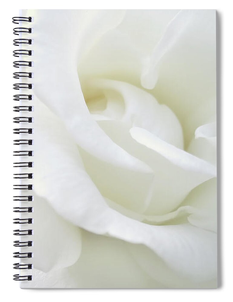 Rose Spiral Notebook featuring the photograph White Rose Angel Wings by Jennie Marie Schell