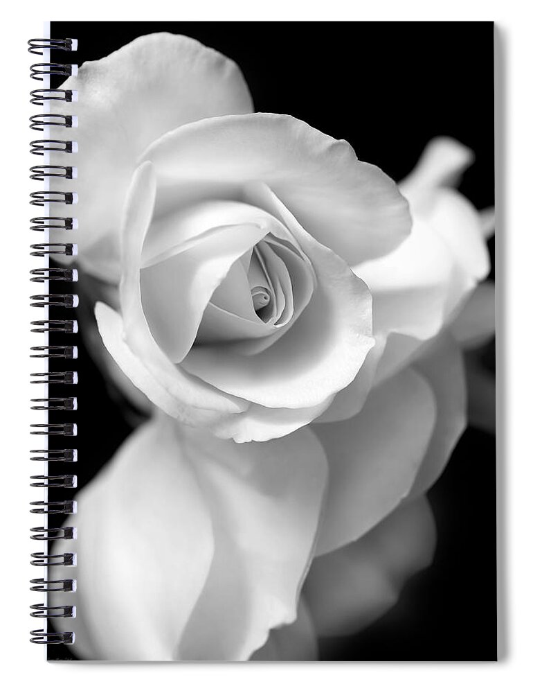 Rose Spiral Notebook featuring the photograph White Rose Petals Black and White by Jennie Marie Schell