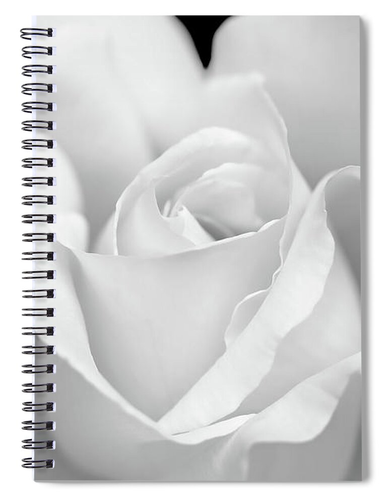 Rose Spiral Notebook featuring the photograph White Rose Purity by Jennie Marie Schell