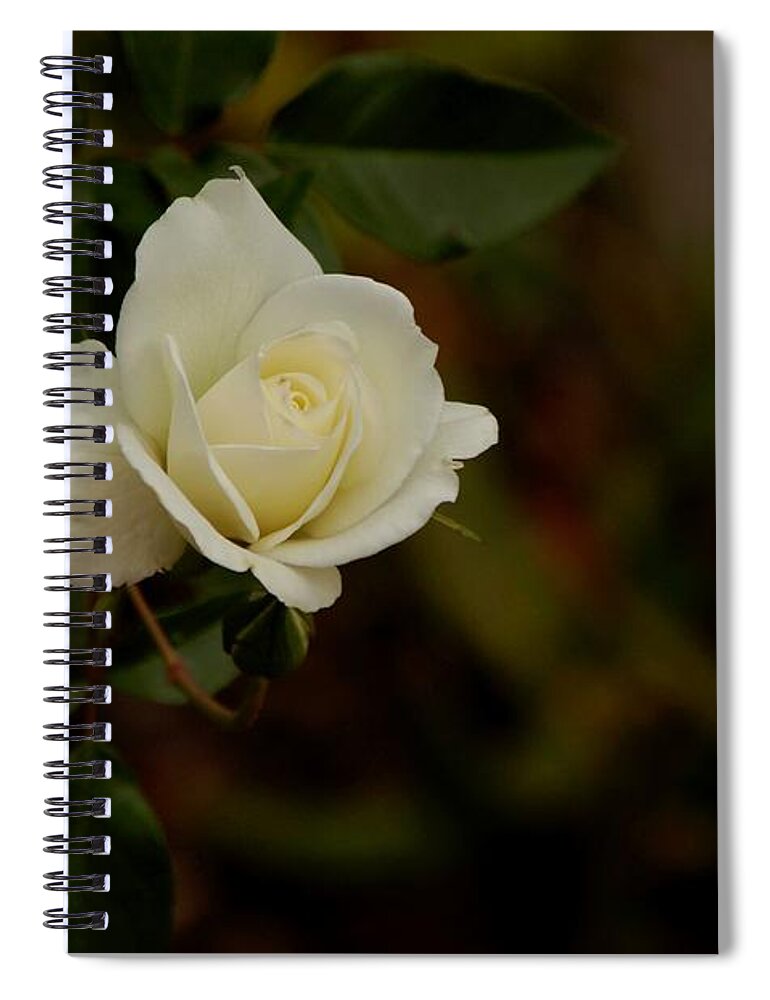 Photography Spiral Notebook featuring the photograph White Rose by Sean Griffin