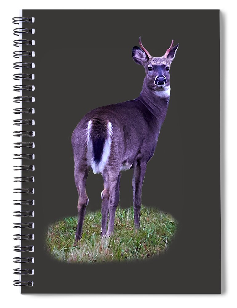 Finland Spiral Notebook featuring the photograph White tail transparent by Jouko Lehto