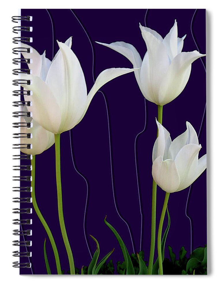 Tulips Spiral Notebook featuring the photograph White Tulips for a New Age by Tara Hutton