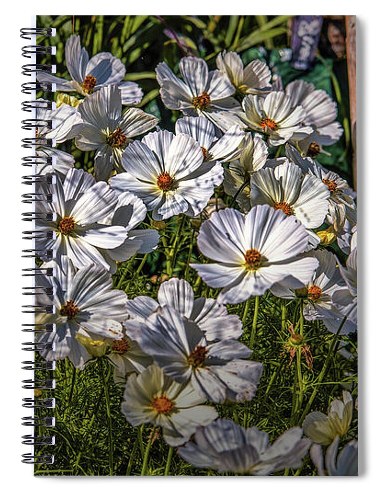 White Spiral Notebook featuring the photograph White, White, White #h8 by Leif Sohlman