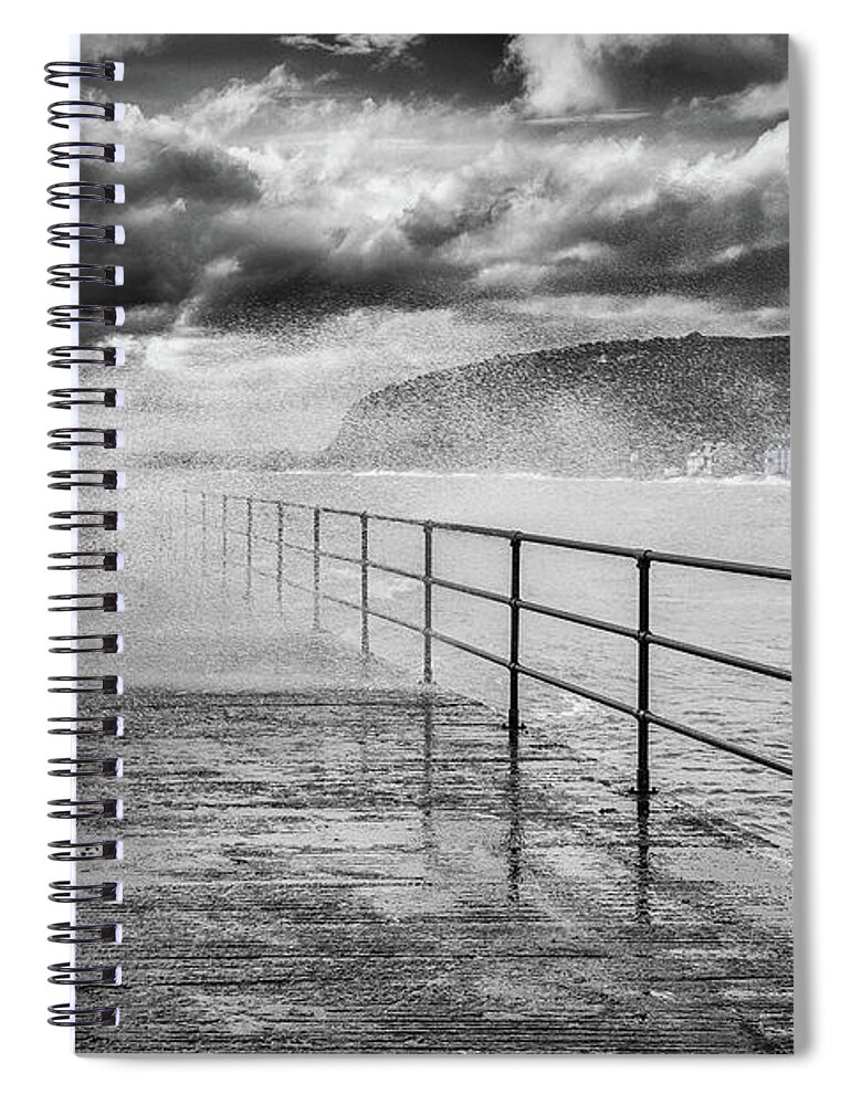 Whitehead Spiral Notebook featuring the photograph Whitehead with a splash of colour by Nigel R Bell