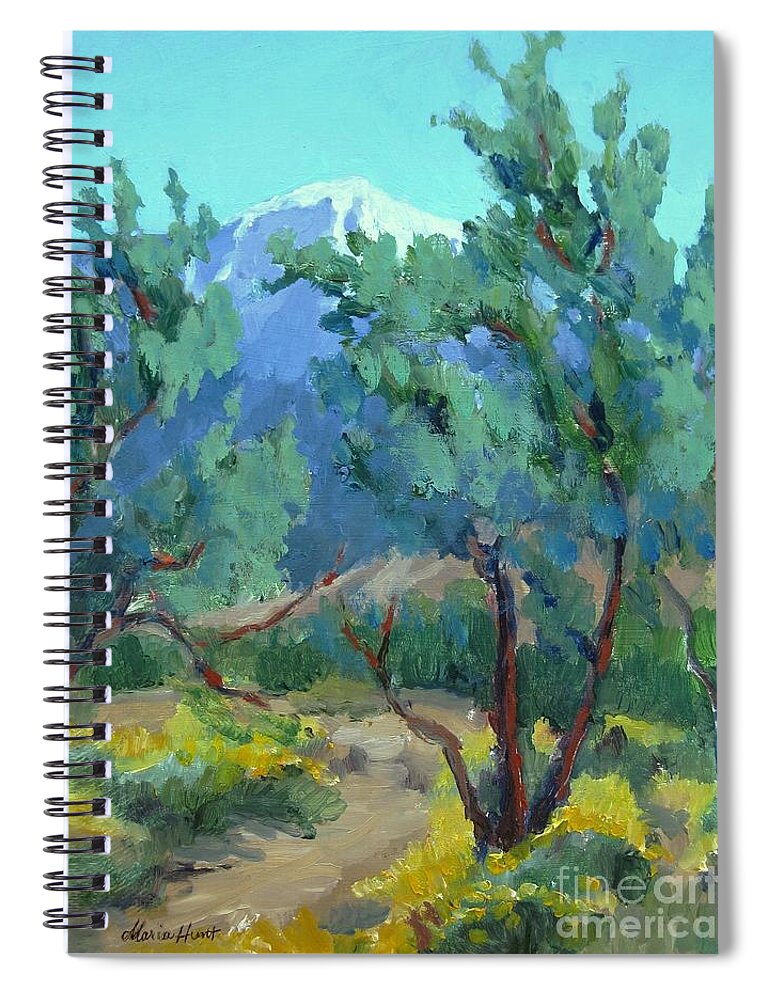 Landscape Spiral Notebook featuring the painting Whitewater Preserve Palm Springs by Maria Hunt