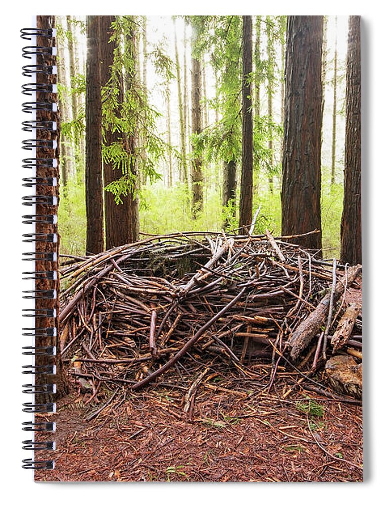 Redwood Spiral Notebook featuring the photograph Wild and Woven by Linda Lees