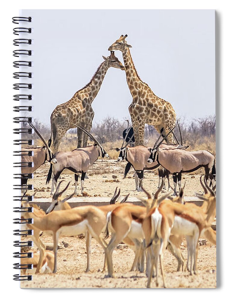 Namibia Spiral Notebook featuring the photograph Wild Animals Pyramid by Benny Marty