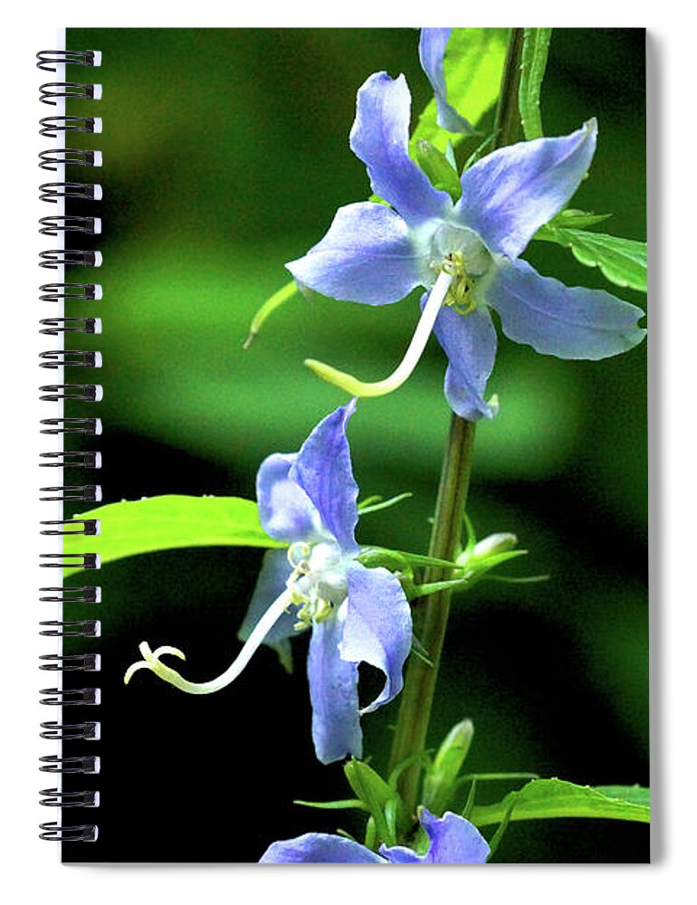 Macro Photography Spiral Notebook featuring the photograph Wild Blue Flowers by Meta Gatschenberger