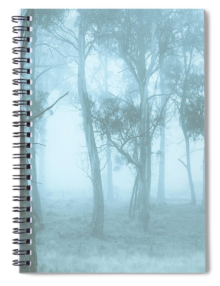 Blue Spiral Notebook featuring the photograph Wild blue woodland by Jorgo Photography
