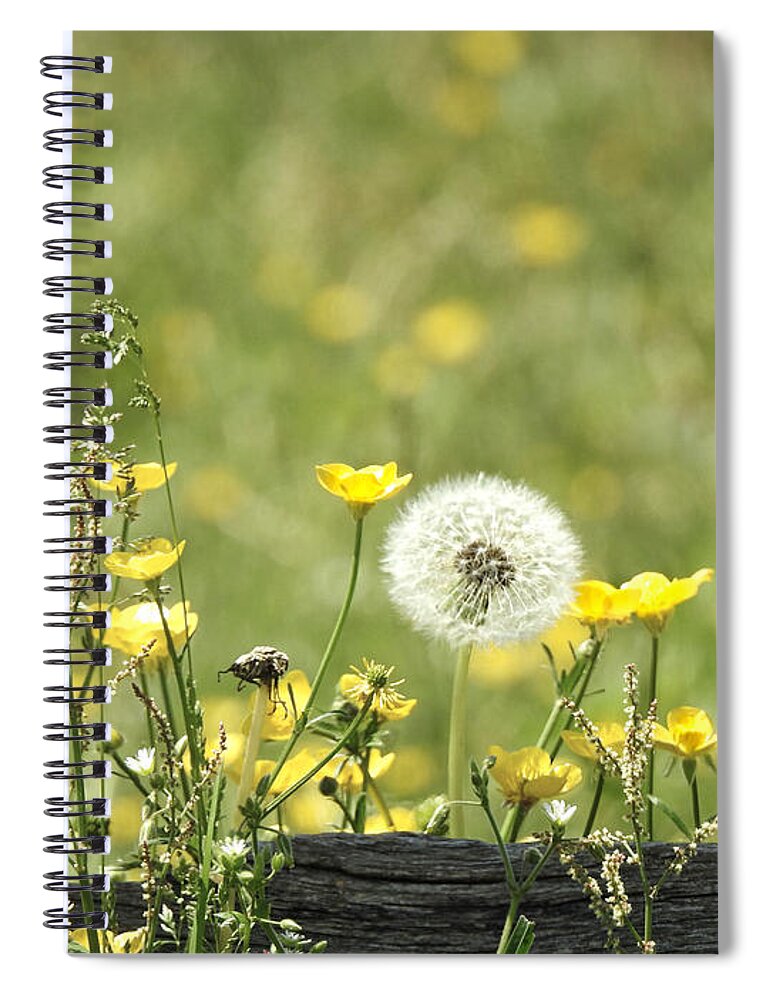 Wild Spiral Notebook featuring the photograph Wild by Dark Whimsy