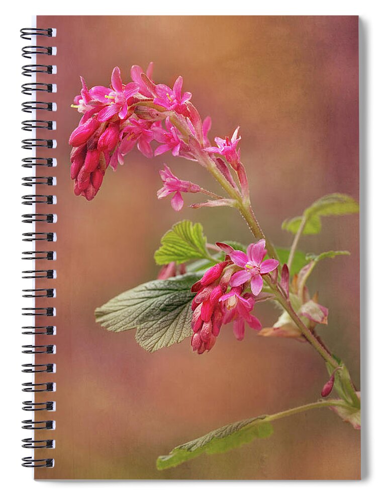 Flower Spiral Notebook featuring the photograph Wild Currant Blossom by Mary Jo Allen