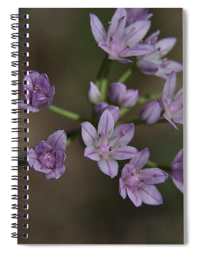 Texas Hill Country Spiral Notebook featuring the photograph Wild Garlic by Frank Madia