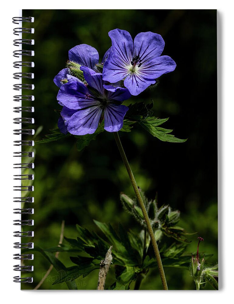 Alaska Spiral Notebook featuring the photograph Wild Geraniums by Fred Denner