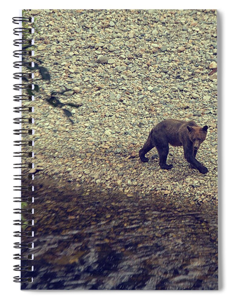 Bear Spiral Notebook featuring the photograph Wild Grizzly bear by Patricia Hofmeester