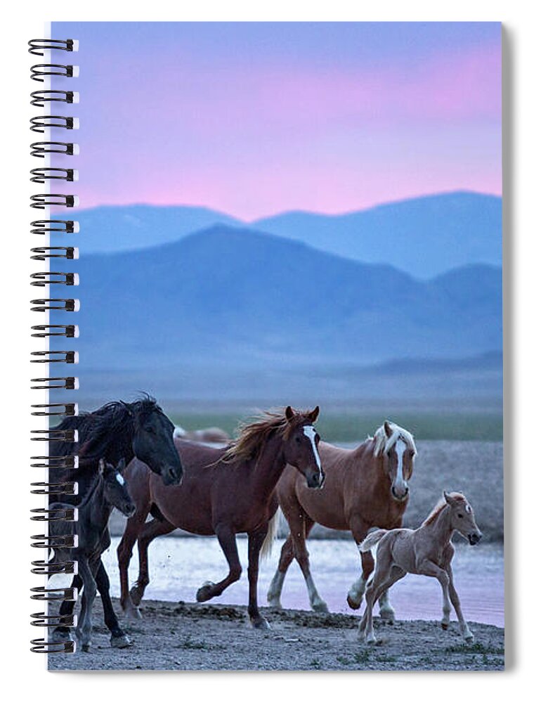 Wild Horse Spiral Notebook featuring the photograph Wild Horse Sunrise by Wesley Aston