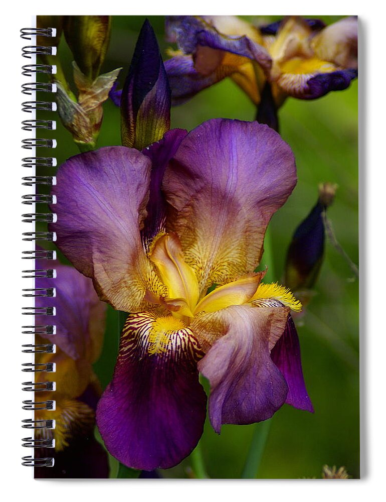 Nature Spiral Notebook featuring the photograph Wild Iris by Ben Upham III