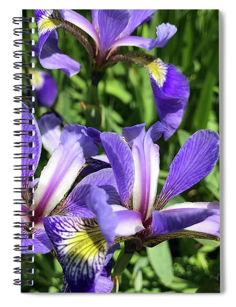 Summer Spiral Notebook featuring the photograph Wild Iris Surprise by Susan Carella