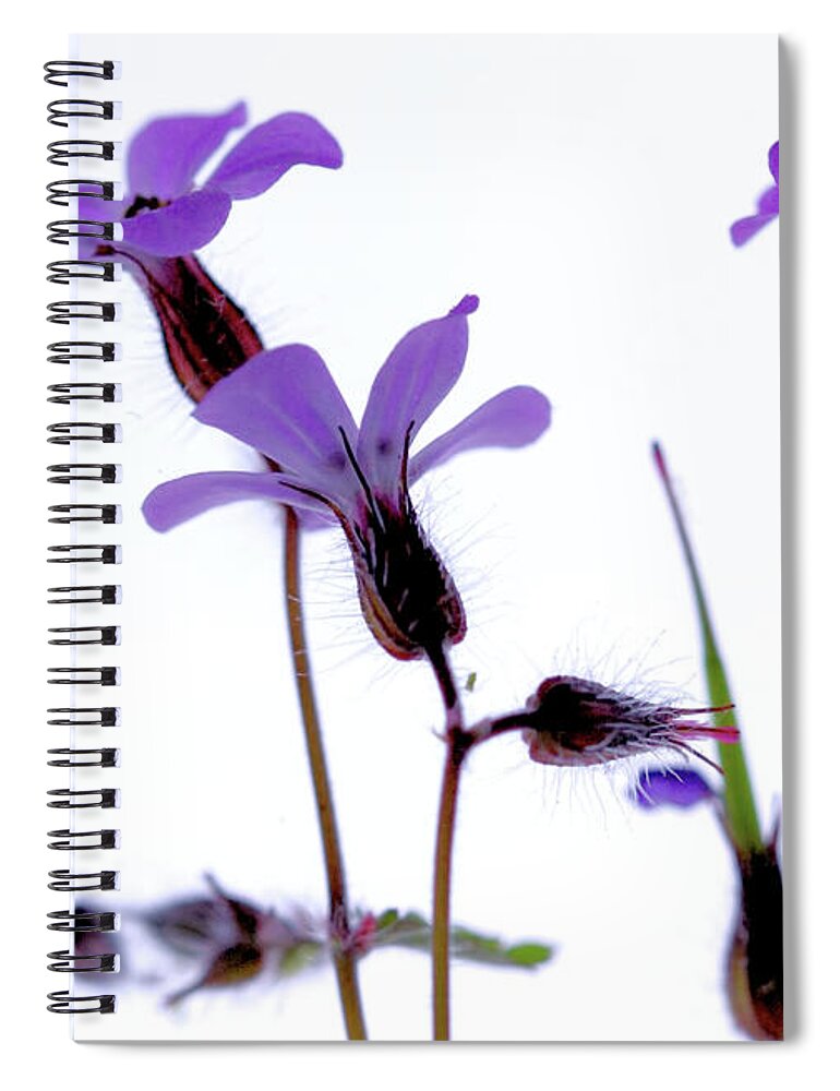 Macro Spiral Notebook featuring the photograph Wild Knotted Cranesbill by Stephen Melia