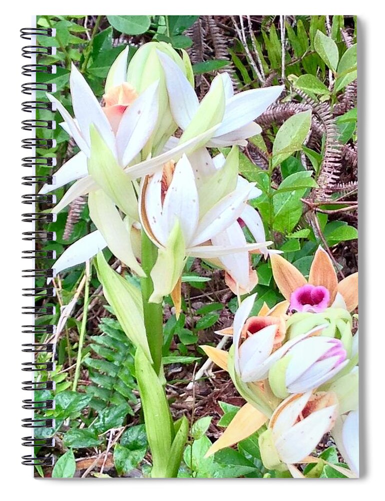 Wild Orchids Pastel 2 Flowers Of Aloha Spiral Notebook featuring the photograph Wild Orchids in Pastel 2 by Joalene Young