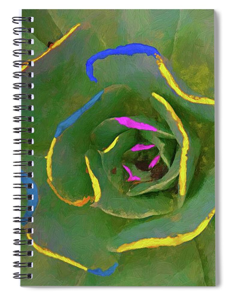 John+kolenberg Spiral Notebook featuring the photograph Wild Succulent by John Kolenberg