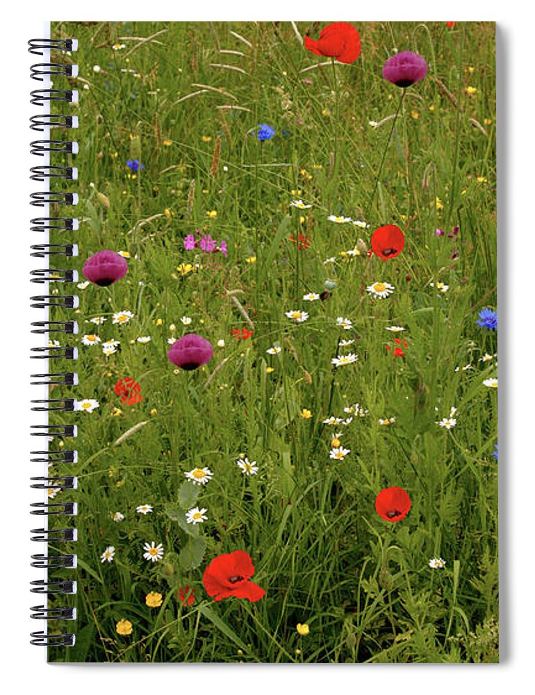 Summer Spiral Notebook featuring the photograph Wild Summer Meadow by Stephen Melia