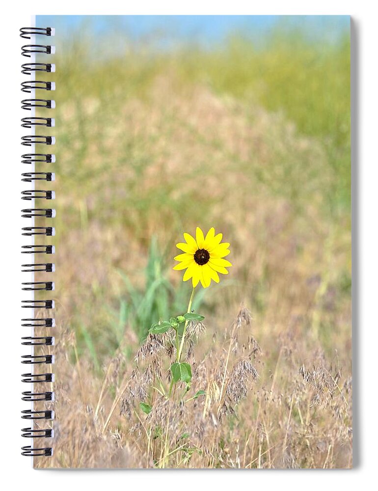 Sunflower Spiral Notebook featuring the photograph Wild Sunflower by Amy McDaniel
