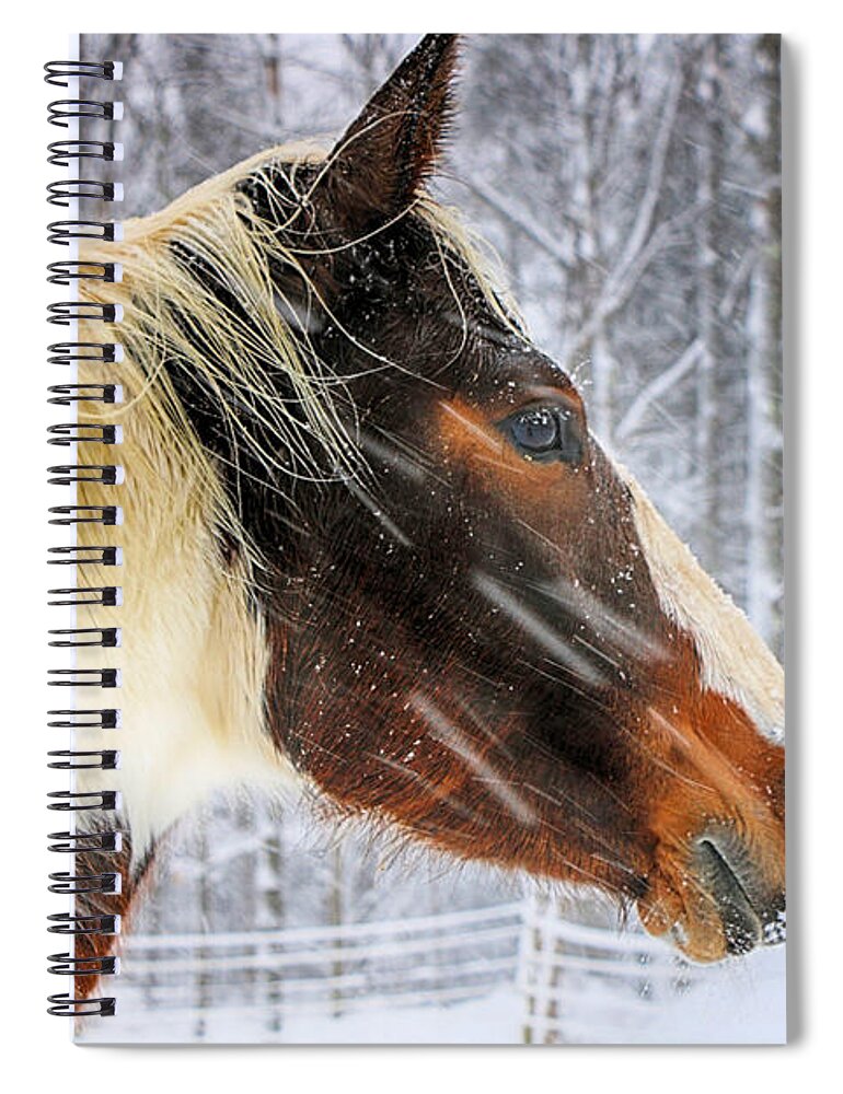 Horse Spiral Notebook featuring the photograph Wild Winter Storm by Elizabeth Dow