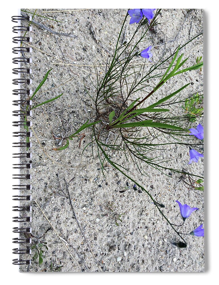 Michigan Spiral Notebook featuring the photograph Wilderness by Joseph Yarbrough