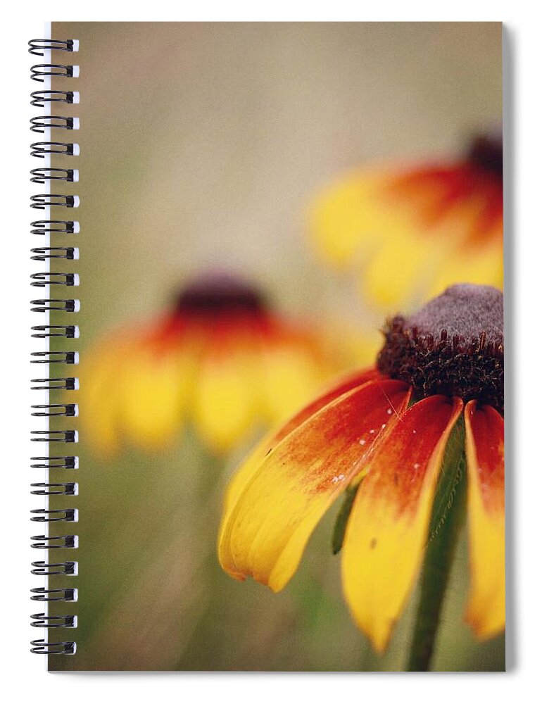 Wildflowers Spiral Notebook featuring the photograph Wildfire Wildflowers by Holly Ross