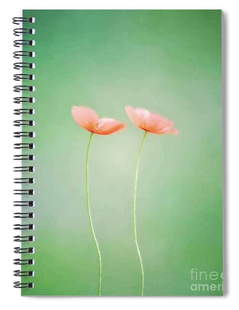 Wildflower Spiral Notebook featuring the photograph Wildflower Duet by Kerri Farley