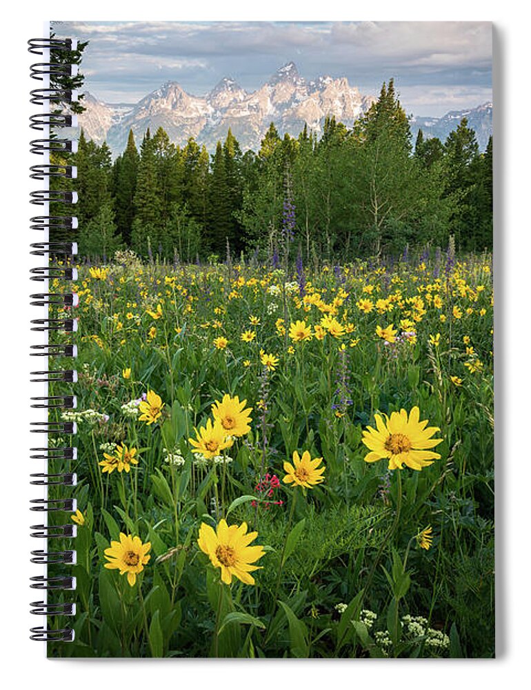 Grand Tetons Spiral Notebook featuring the photograph Wildflower Meadow in the Tetons by James Udall