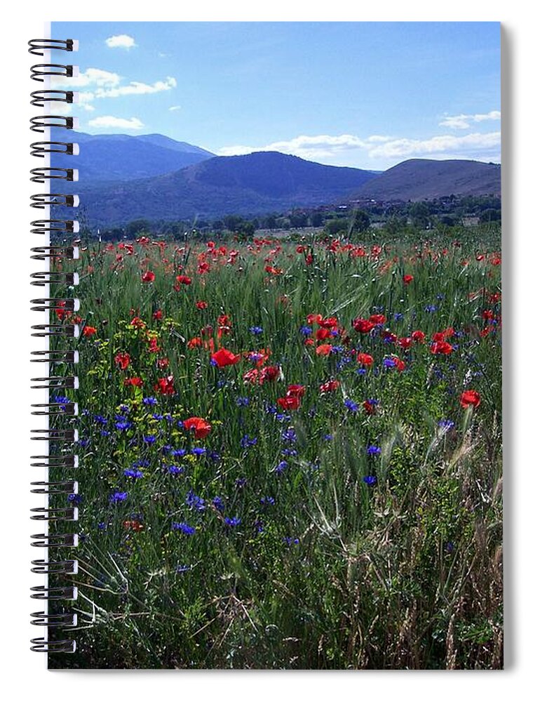 Path Spiral Notebook featuring the photograph Wildflower Path by Judy Kirouac