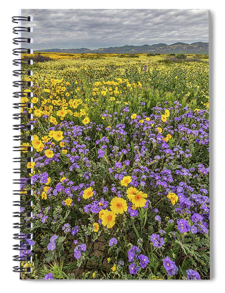 Blm Spiral Notebook featuring the photograph Wildflower Super Bloom by Peter Tellone