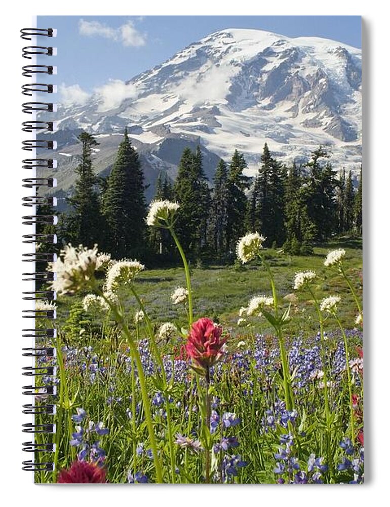 Attractions Spiral Notebook featuring the photograph Wildflowers In Mount Rainier National by Dan Sherwood