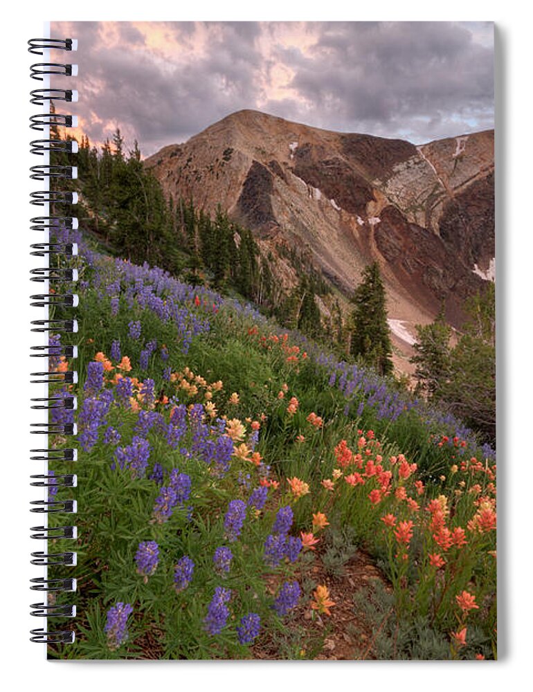 Landscape Spiral Notebook featuring the photograph Wildflowers with Twin Peaks at Sunset by Brett Pelletier