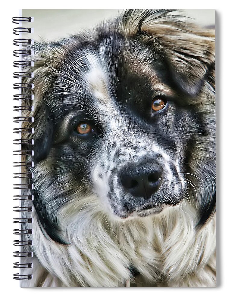Animal Spiral Notebook featuring the photograph Will You Be My Friend by Rhonda McDougall