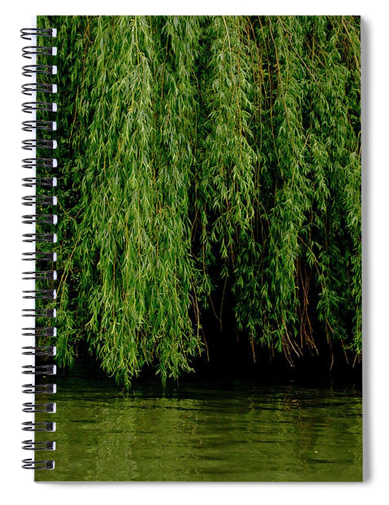 Willows Spiral Notebook featuring the photograph Willows weeping over waters. by Elena Perelman