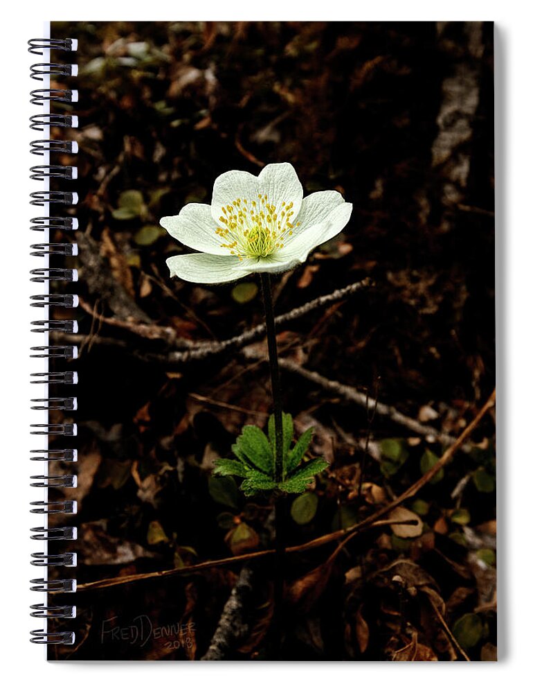 Flower Spiral Notebook featuring the photograph Wind Flower by Fred Denner