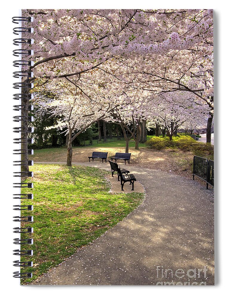 Washington Dc Spiral Notebook featuring the photograph Winding Trail to the Tidal Basin by Karen Jorstad