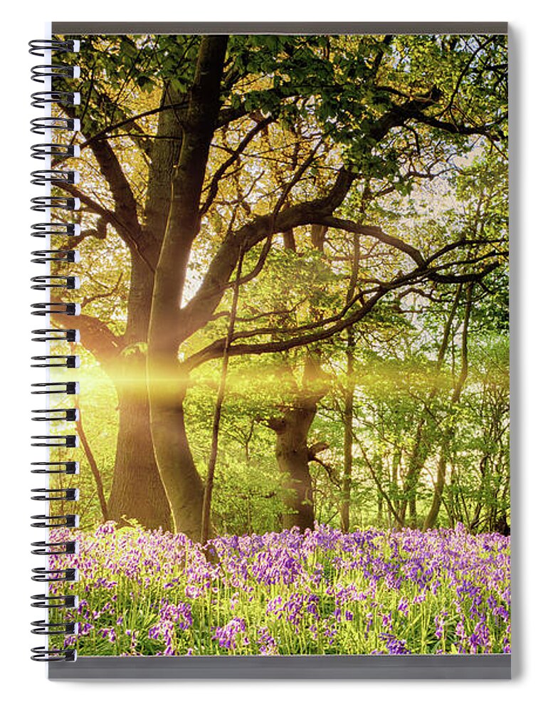 Window Spiral Notebook featuring the photograph Window open onto bluebell forest sunrise by Simon Bratt