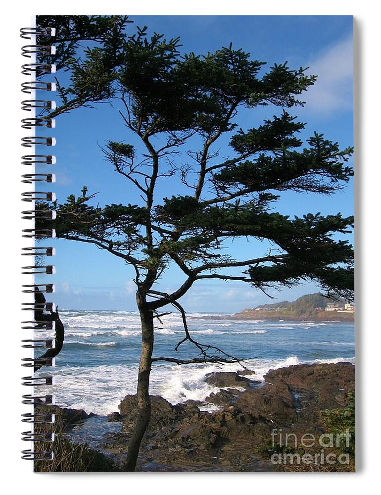 Ocean Spiral Notebook featuring the photograph Windshaped by Sheila Ping