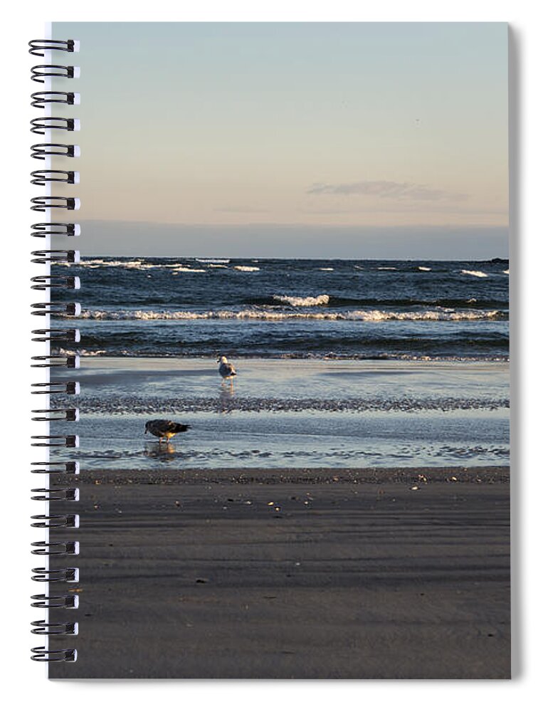 Wingaersheek Spiral Notebook featuring the photograph Wingaersheek Beach Seagulls at Sunrise by Toby McGuire