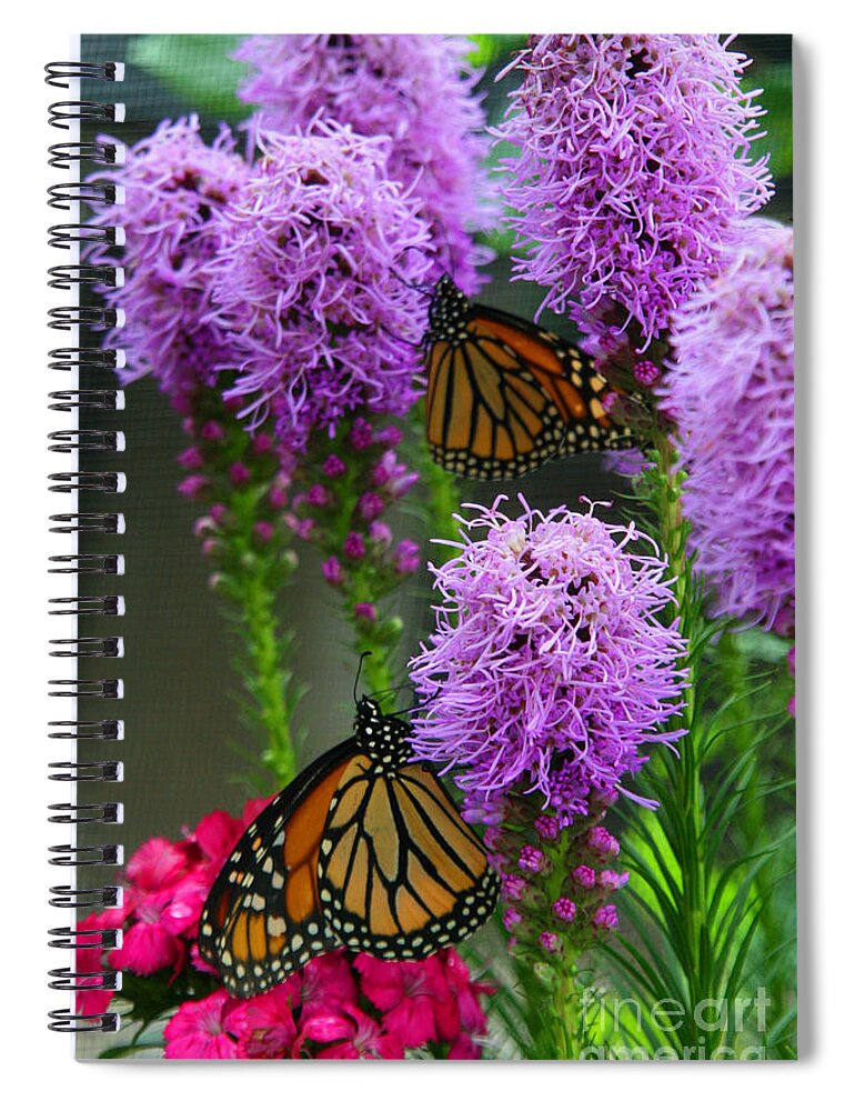 Nature Spiral Notebook featuring the photograph Winged Beauties by Crystal Nederman